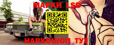 гашик Аргун