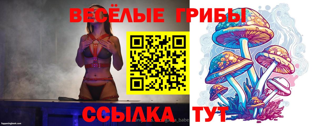 Сыктывкар  Псилоцибиновые грибы GOLDEN TEACHER  Вход с VPN 
