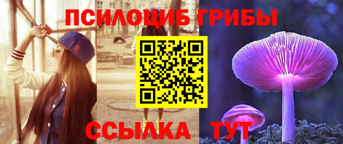 Галлюциногенные грибы мицелий  Сыктывкар 
